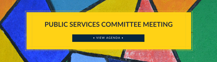 Public Services Committee