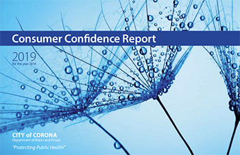 Consumer Confidence Report 2019