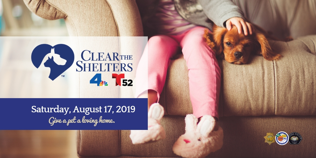 Clear the Shelters