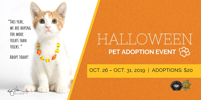 Halloween Pet Adoption Event