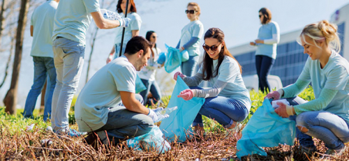 Park Clean up