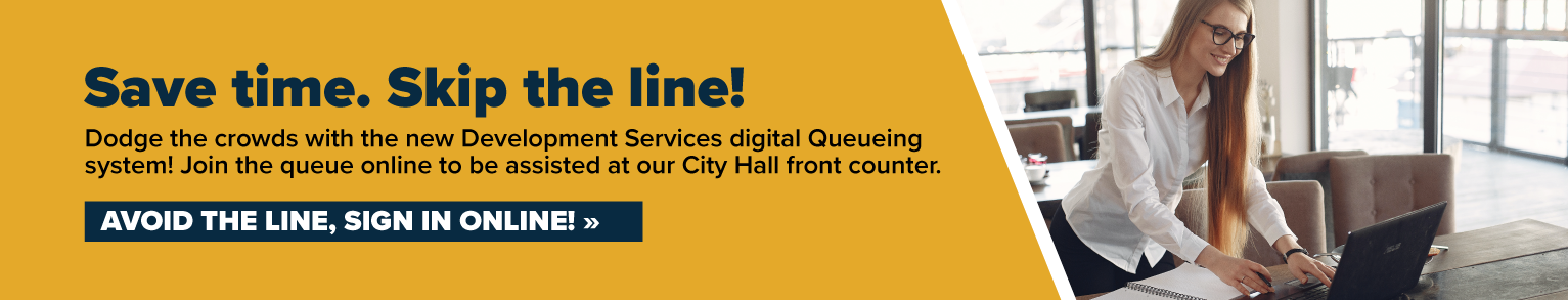 Digital Queue Dev Services Banner