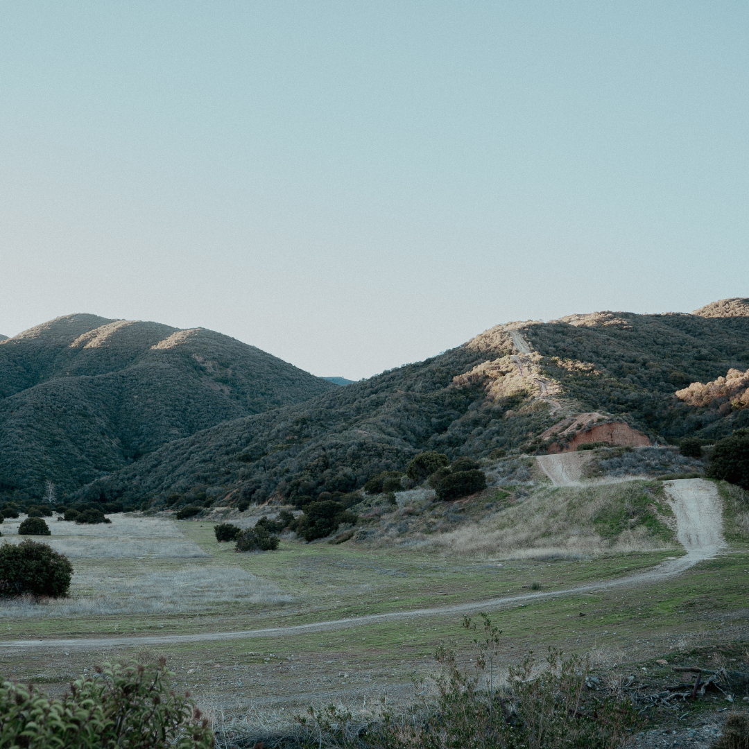 Skyline Trail