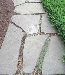 Concrete Step Stones 2