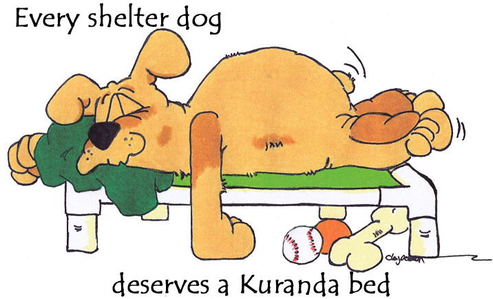 Kuranda Bed