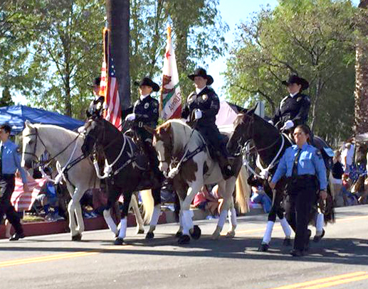 Mounted-Parade-Pic