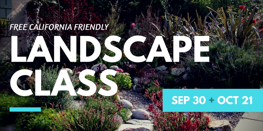 California Friendly Landscape Class