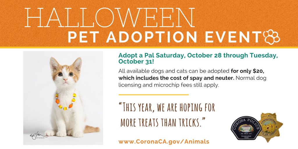 Halloween Pet Adoption Event