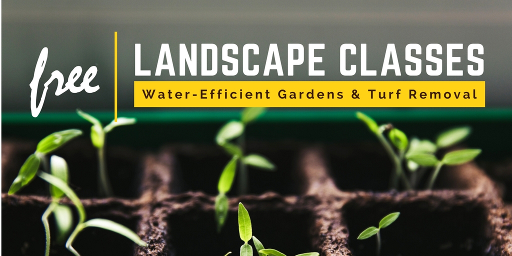 Landscape Classes 