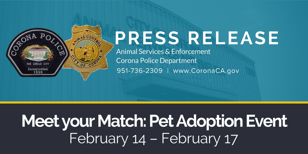 Press Release - Valentines Pet Adoption Event